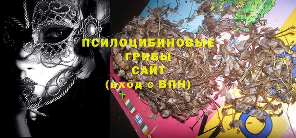 дурь Весьегонск