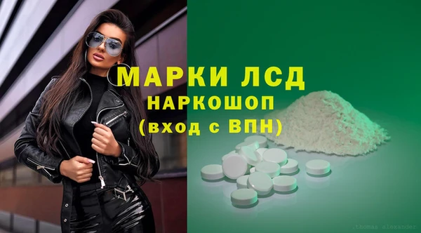 ешки Новодвинск