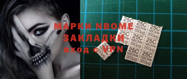 ешки Новодвинск