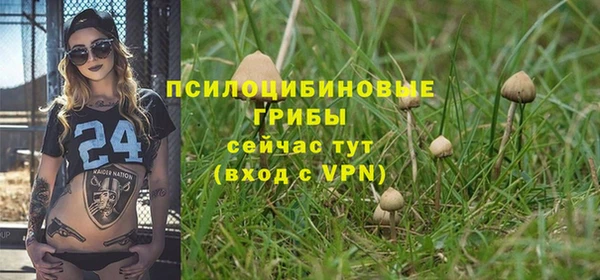а пвп мука Новозыбков