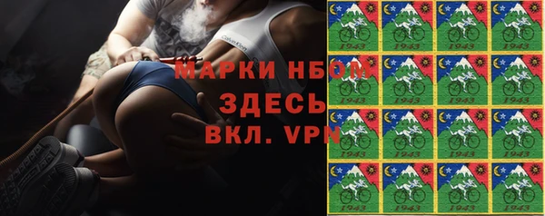 ешки Новодвинск