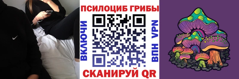 Галлюциногенные грибы Psilocybe  гидра рабочий сайт  Советская Гавань  купить закладку 