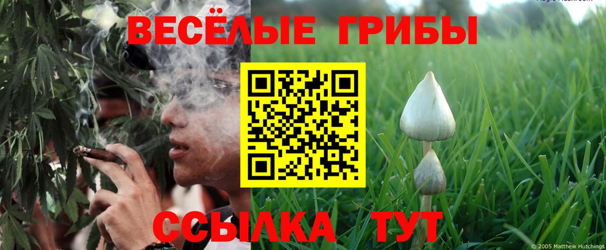 Советская Гавань  Галлюциногенные грибы GOLDEN TEACHER  Вход с VPN  Галлюциногенные грибы ЛСД 