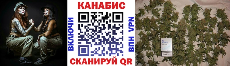 где купить наркоту  Советская Гавань  Конопля SATIVA & INDICA 